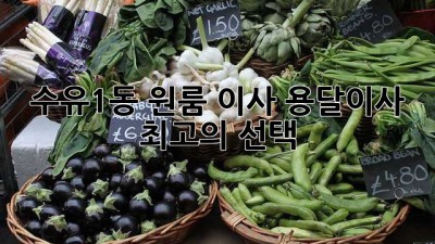 수유1동 원룸 이사? 용달이사 최고의 선택!