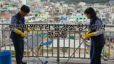 ✨ 반짝반짝 우리 집! 청소 정기 계약 (장교동) 🏡