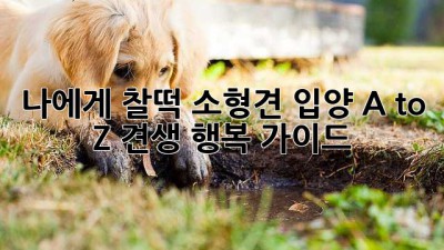 나에게 찰떡!🐶 소형견 입양 A to Z: 견생 행복 가이드 🐾